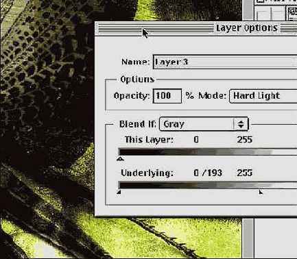 Photoshop  Illustrator    